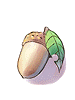 Acorn big