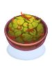 Savory Herb Salad big ragnarok online