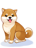 Costume Shiba Inu big