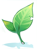 Coursera Sera big ragnarok online