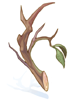 Dry Twig big ragnarok online