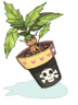 Mandragora Flowerpot big