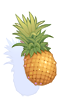 Pineapple big