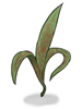 Deadly Noxious Herb big