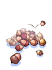 Pile Of Acorn big