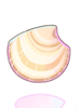 Clam Shell big